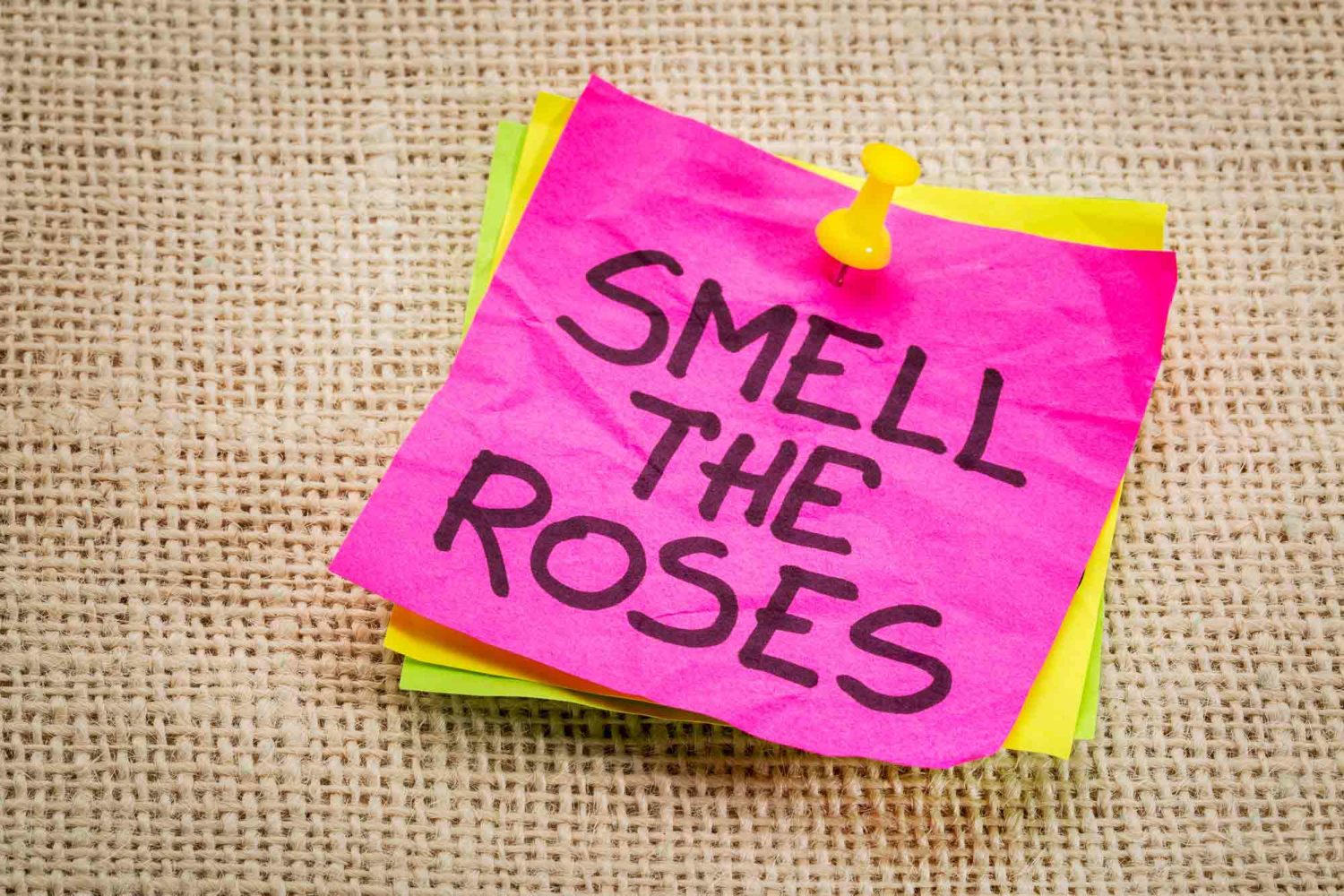 Other Ways Of Saying Stop And Smell The Roses