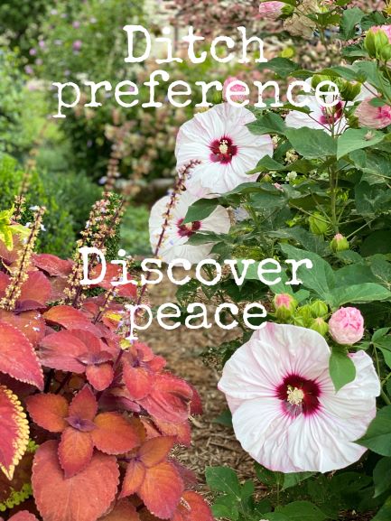 Ditch preference, Discover peace